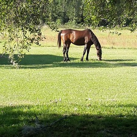Kokomo Farms Live Oak Bagian luar foto