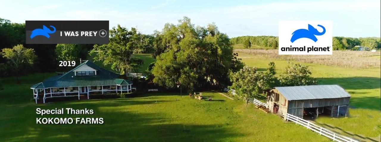 Kokomo Farms Live Oak Bagian luar foto