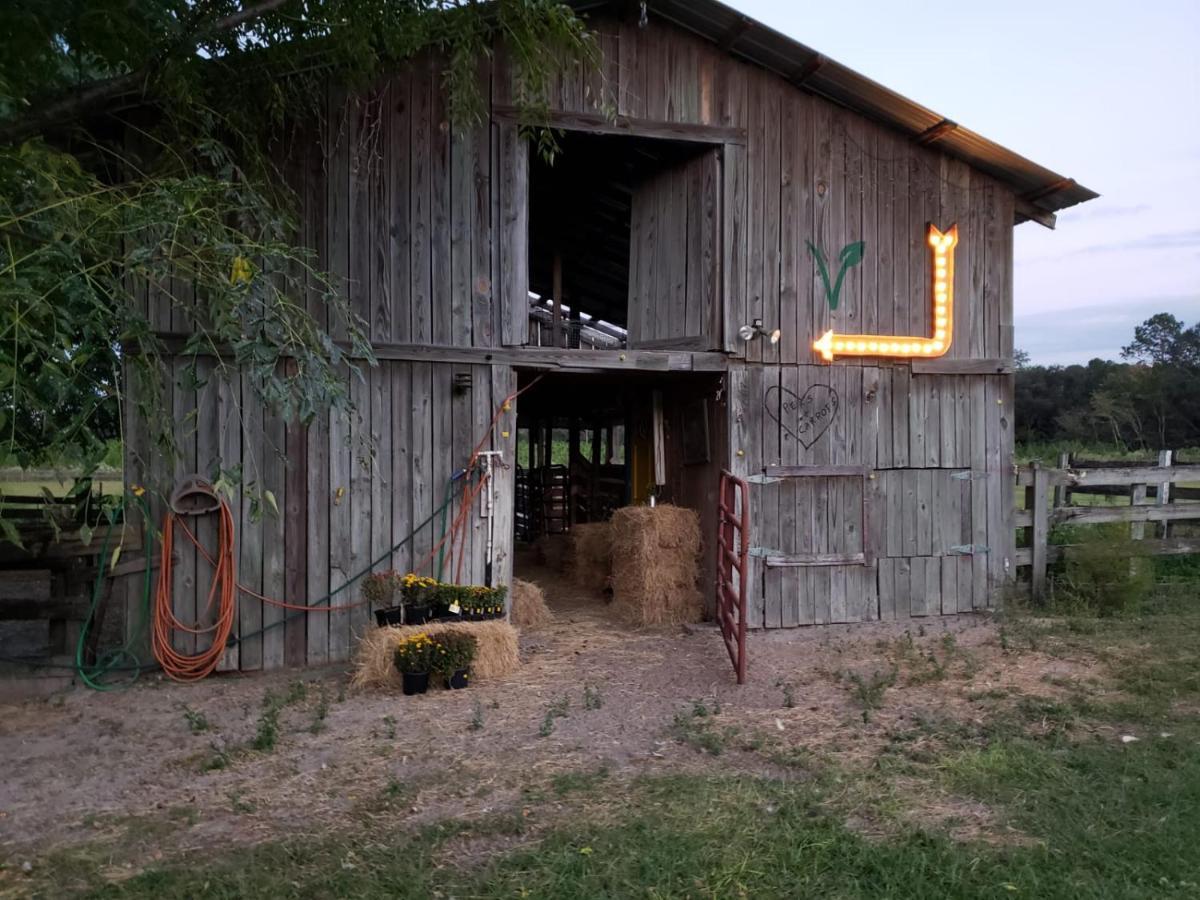 Kokomo Farms Live Oak Bagian luar foto