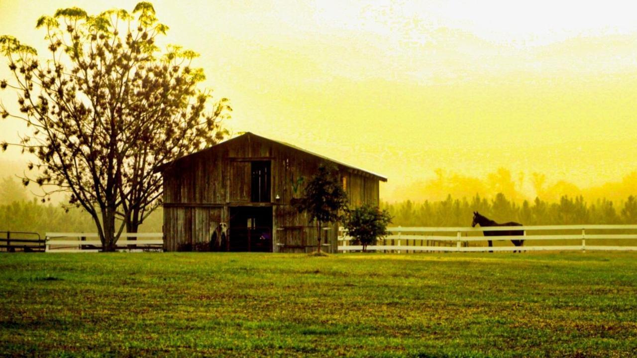 Kokomo Farms Live Oak Bagian luar foto