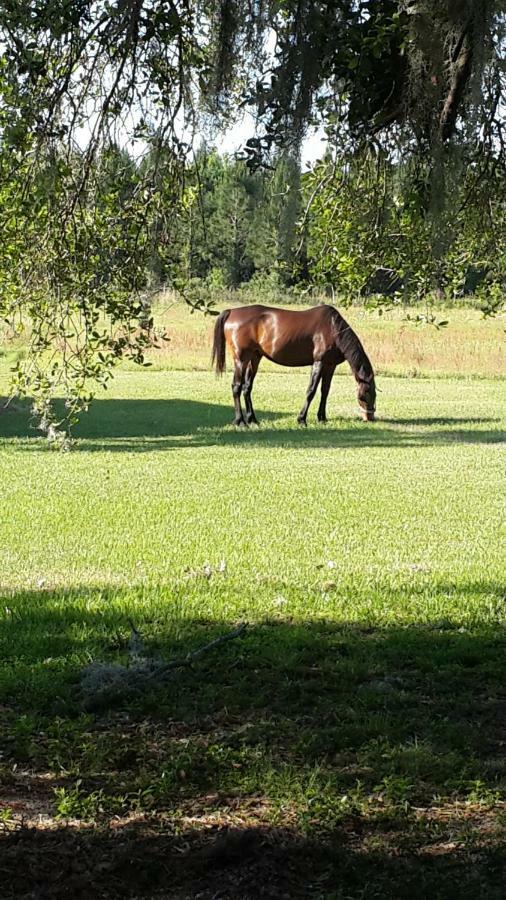 Kokomo Farms Live Oak Bagian luar foto