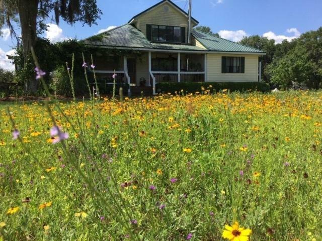 Kokomo Farms Live Oak Bagian luar foto